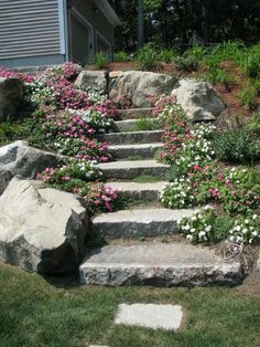 a garden with flowers and rocks in front of a house