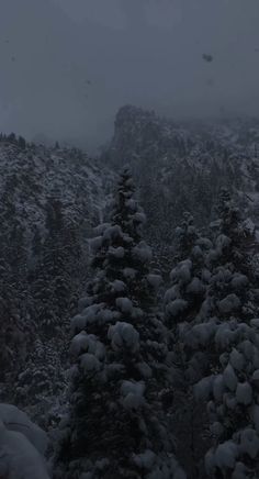 trees covered in snow on the side of a mountain at night with dark clouds overhead