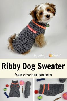 a small dog wearing a sweater made out of crochet and knitting yarn with the words ribby dog sweater free crochet pattern