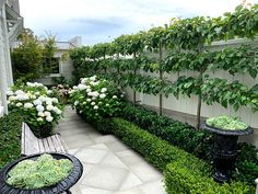 an outdoor garden area with plants and benches