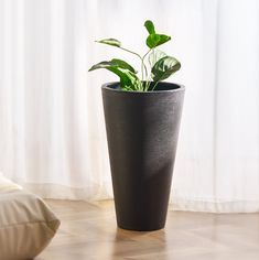 a potted plant sitting on top of a wooden floor next to a pillow and window