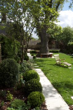 a large tree in the middle of a grassy area with benches and trees around it