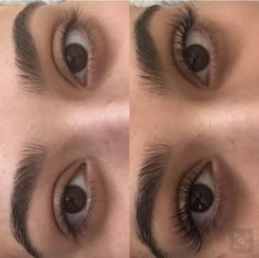 Lashes And Eyebrows, Natural Fake Eyelashes, Eyelash Extensions Styles, Natural Eyelash Extensions, Eyelash Extentions, Eyelash Growth, Natural Eyelashes, Models Makeup