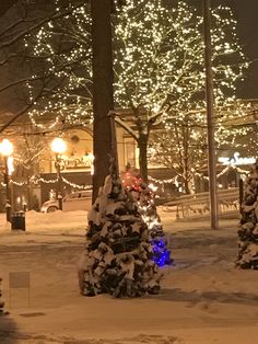 a couple of trees that are covered in snow with lights on them and some people walking down the street