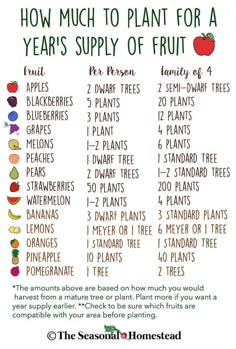 an image of how much to plant for a year's supply of fruit