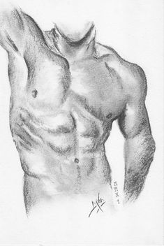 a pencil drawing of a man's torso and chest, with no shirt on