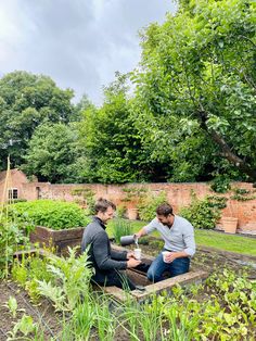 two men are sitting in the middle of a garden