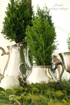 three silver vases sitting on top of a table filled with plants and greenery