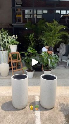 two large white vases sitting next to each other in front of potted plants