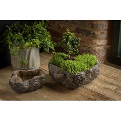 two planters sitting on top of a wooden table