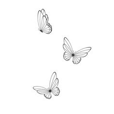 three butterflies flying side by side in the air