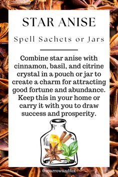 Star anise is truly a magical herb, rich with history, medicinal benefits, and spiritual power. Whether you're using it to protect your space, enhance your psychic abilities, or invite more luck into your life, its star-shaped pods offer much more than meets the eye. Embrace the magic of star anise in your daily rituals and discover the transformation it can bring. Cinnamon Broom, Wicca Recipes, Money Spells That Work, Magickal Herbs, Jar Spells, Green Witchcraft, Spell Jars, Luck Spells, Wiccan Magic