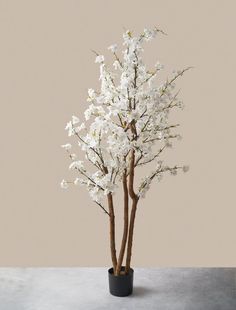 a small white tree in a black pot on top of a gray table next to a beige wall