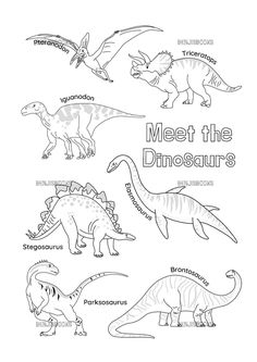 dinosaur coloring pages for kids with dinosaurs and their names in black and white, including the words meet the dinosaurs