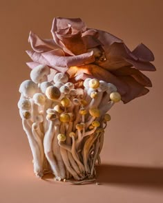 an arrangement of mushrooms and flowers in a vase on a brown background with pink paper