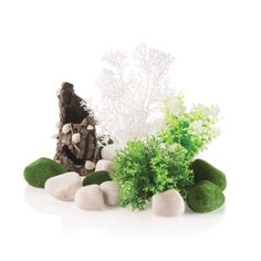 some plants and rocks on a white surface