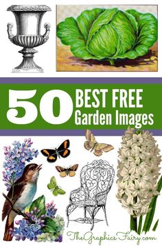 the cover of 50 best free garden images with flowers, butterflies and vases on it