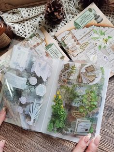 a person holding an open book with papers and plants on it next to pine cones