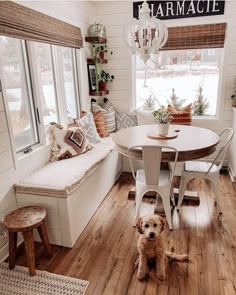 a dog sitting on the floor in front of a table and bench with windows behind it