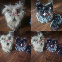 four different pictures of furry cats on the floor