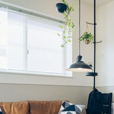 a living room filled with furniture and a plant hanging from the ceiling next to a window