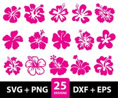 Hawaii Hibiscus Flower, Hibiscus Svg, Hawaii Hibiscus, Svg Flowers, Hawaiian Flower, Flowers Png, Flowers Clipart, Hawaiian Flowers, Tropical Flower