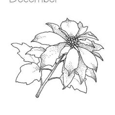 a black and white drawing of a flower with the words december written in ink on it