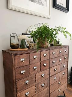 a wooden dresser with drawers and plants on top