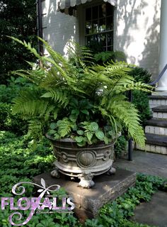 a planter filled with lots of green plants sitting on top of a stone step