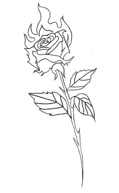 a drawing of a rose on a white background