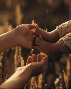 two people holding their hands together in the middle of some tall grass and plants,