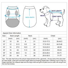 the size and measurements for a dog's shorts