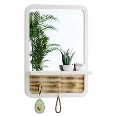 a mirror hanging on the wall with plants in it and a potted plant next to it