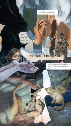 the collage shows an image of people and animals