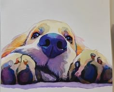 a watercolor painting of a dog's face with his paws on the ground