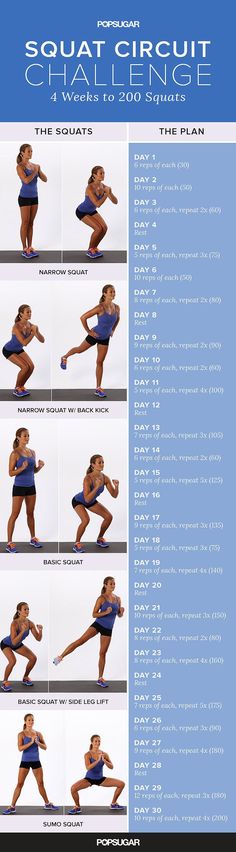 the squat circuit chart shows how to do it