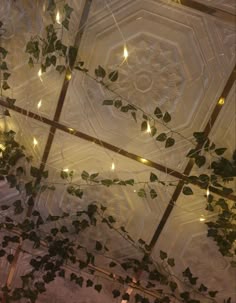 the ceiling is covered with vines and lights