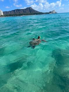 a man swimming in the ocean with a turtle