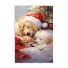 two puppies sleeping next to each other in front of a christmas ornament