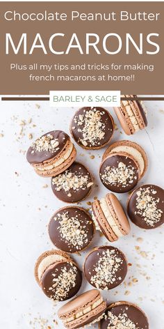 chocolate peanut butter macarons with text overlay