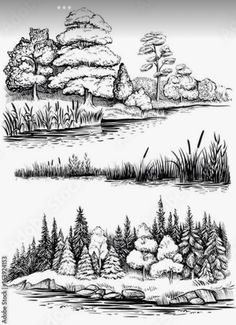 three black and white illustrations of trees, water and grass in different stages of development