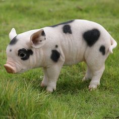 a small toy pig standing on top of a lush green field