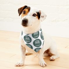 a dog wearing a bandana sitting on the floor