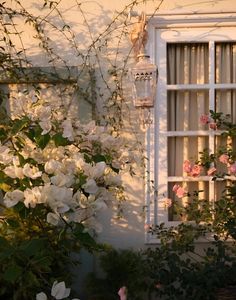 white flowers are blooming in front of a window with an old fashioned light fixture