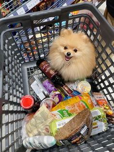 a small dog is sitting in a shopping cart full of food and condiments