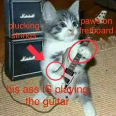 a kitten is playing the guitar with its paw on it's neck and has an arrow pointing up