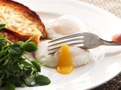 an egg and toast on a white plate with a green leafy plant next to it