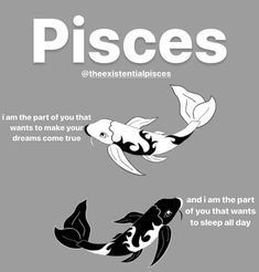 an advertisement for pisces featuring two koi fish in black and white colors