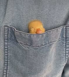 a rubber ducky sticking out of the back pocket of someone's jean pants