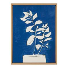 Framed Canvas Plant Silhouette, Hallway Gallery Wall, Hallway Gallery, Floral Art Prints, Silhouette Painting, Blue Backdrop, Media Painting, Stay Fresh, Colorful Wall Art